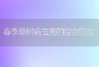 养好水仙的有三招