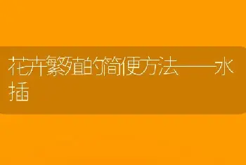 花卉繁殖的简便方法——水插