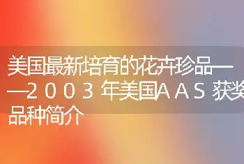 美国最新培育的花卉珍品——2003年美国AAS获奖品种简介