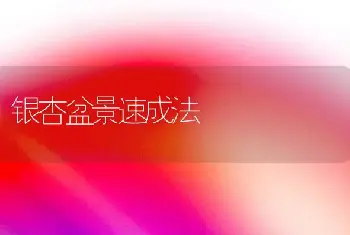 家养发财树管理技术