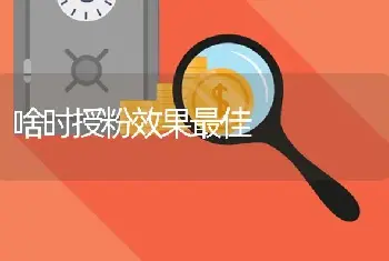 啥时授粉效果最佳