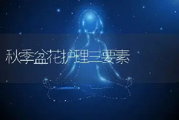 秋季盆花护理三要素