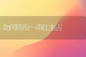 如何防治一串红虫害