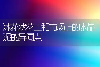 侧柏育苗及造林技术