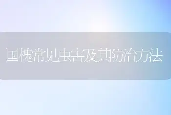 国槐常见虫害及其防治方法