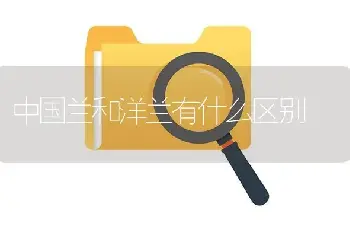 中国兰和洋兰有什么区别