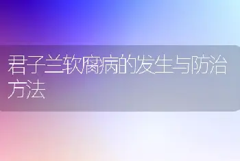 桃树的养殖方法 桃树的栽培管理技术