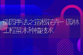 秋延后番茄巧管创高产