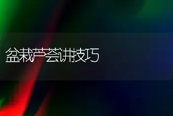 室内最适合摆放的植物：发财树 虎尾兰 橡皮树-花卉苗木养护管理