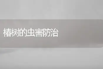 椿树的虫害防治