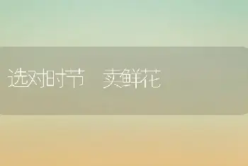 一品红栽培及管理办法