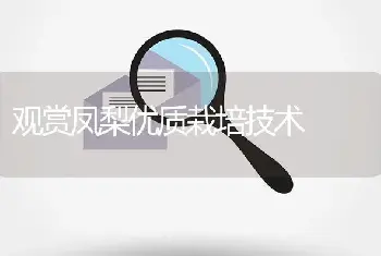 观赏凤梨优质栽培技术