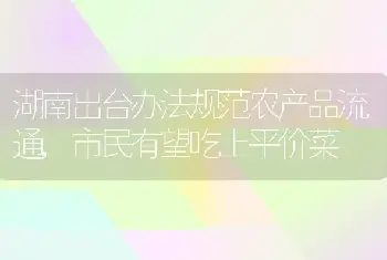 湖南出台办法规范农产品流通,市民有望吃上平价菜