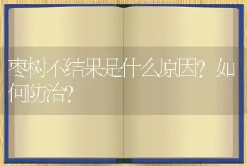 枣树不结果是什么原因？如何防治？