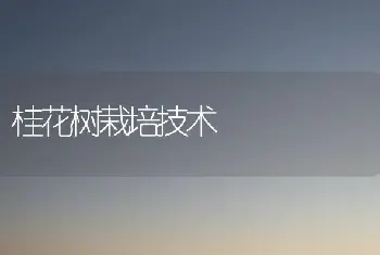 果树秋管注意5点