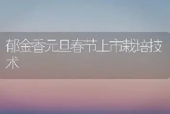 栀子花养护诀窍