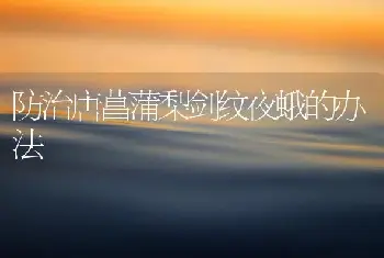 防治唐菖蒲梨剑纹夜蛾的办法