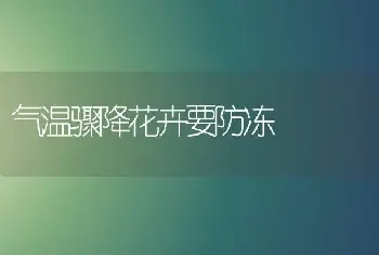 气温骤降花卉要防冻