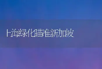 上海绿化瞄准新加坡