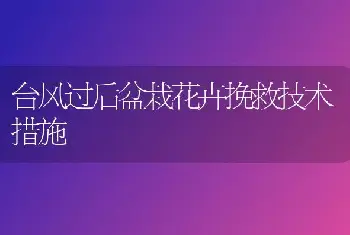 台风过后盆栽花卉挽救技术措施