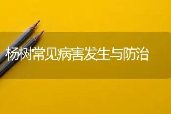 冬季家庭养花要注意点什么？