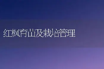 红枫育苗及栽培管理