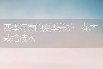 四季海棠的夏季养护-花木栽培技术