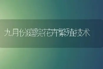 九月份庭院花卉繁殖技术