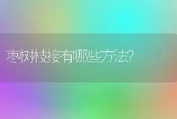 枣树枝接有哪些方法？