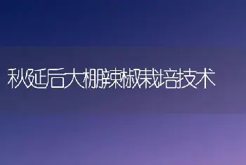 秋延后大棚辣椒栽培技术