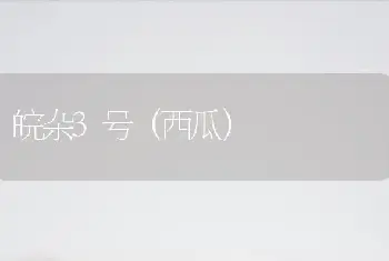 皖杂3号（西瓜）