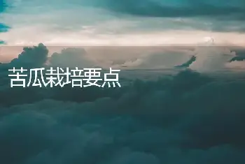 苦瓜栽培要点