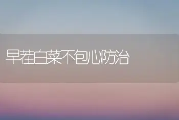 早茬白菜不包心防治