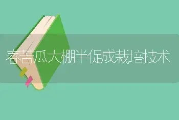 春苦瓜大棚半促成栽培技术