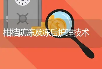 柑桔防冻及冻后护理技术