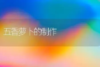 五香萝卜的制作