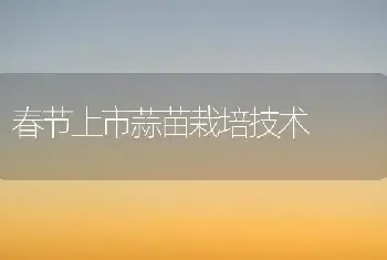 辣椒无土栽培的关键技术如何把握