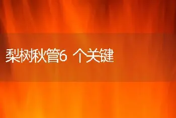 梨树秋管6个关键