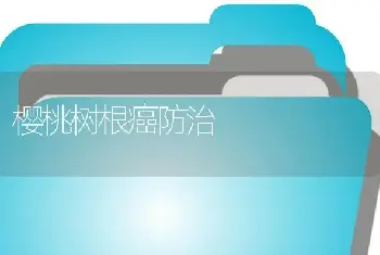 樱桃树根癌防治