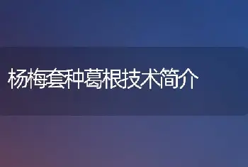 杨梅套种葛根技术简介