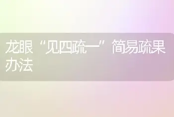 龙眼“见四疏一”简易疏果办法