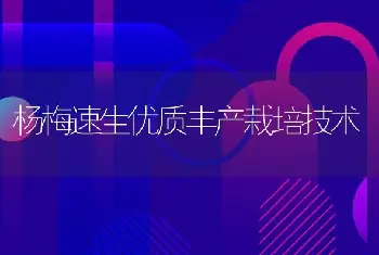 杨梅速生优质丰产栽培技术