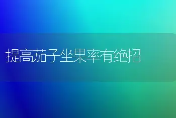 提高茄子坐果率有绝招