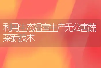 利用生态温室生产无公害蔬菜新技术