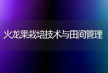 火龙果栽培技术与田间管理