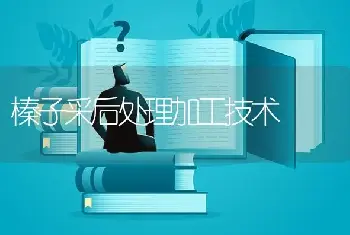 榛子采后处理加工技术