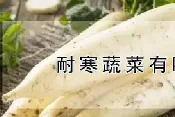 耐寒蔬菜有哪些