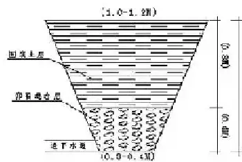 提高行道树的成活率及生长势