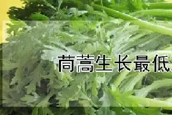 茼蒿生长最低温度